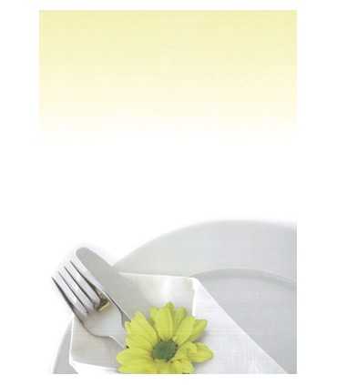 PAPEL CUBIERTOS 90GR 20 HOJAS A4 210x297 MM