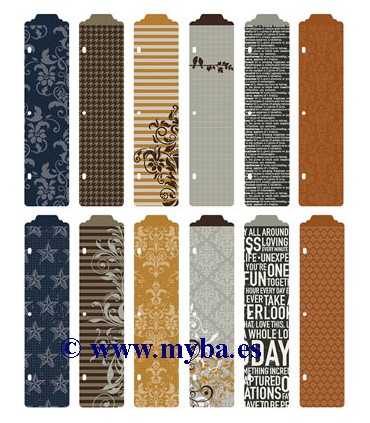 DIVISORES ÁLBUM PROJECT LIFE CINNAMON 12 UD