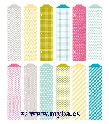 DIVISORES ÁLBUM PROJECT LIFE BLUSH, RUBOR 12 UD