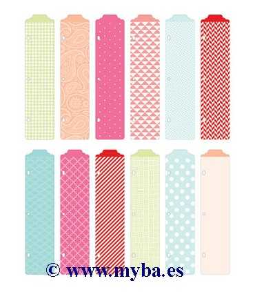 DIVISORES ÁLBUM PROJECT LIFE SISTER, HERMANA 12 UD