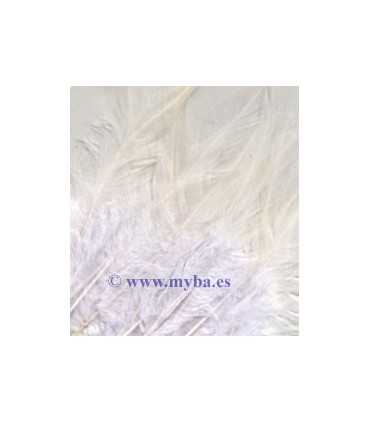 PLUMAS TEÑIDAS BLANCO PURO 9-15 CM 15 UNIDADES