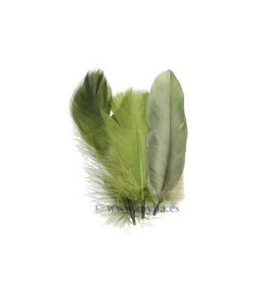 PLUMAS MIX BOSQUE 12,5-17,5 CM 15 UNIDADES