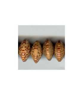 PLATILLO MADERA PALMA 15x9 mm. HILO 40 CM APROX.