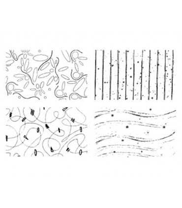 SELLOS ACRÍLICOS 9,5x15,5 CM FONDOS