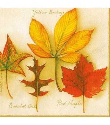 33 x 33 cm arce 20 servilletas de hojas otoñales en discos de árbol otoño decoración de mesa 