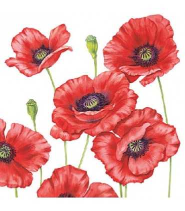 SERVILLETAS AMBIENTE 20 UD AMAPOLA ROMÁNTICA