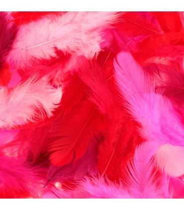 PLUMAS COLORES ARTEMIO MIX ROJO 10 GRAMOS