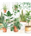 SERVILLETAS AMBIENTE 20 UD FLORES JUNGLA URBANA