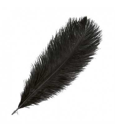 PLUMA DE AVESTRUZ ARTEMIO 30-35 CM NEGRO 1 UD