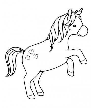 SELLOS CAUCHO MADERA RAINBOW 5,5x6 CM