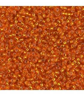 GRANITO MIYUKI 11/0 SILVER LINED-2   24 GR