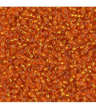 GRANITO MIYUKI 11/0 SILVER LINED-2   24 GR