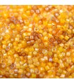 MIYUKI DELICA BEADS 11/0 LUMINOUS BOLSA 6 GR APR