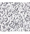 MIYUKI DELICA BEADS 15/0 CEYLON 2 GRAMOS