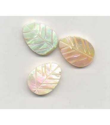 CUENTA HOJA NÁCAR NATURAL 20x15x3 MM 3 UNIDADES