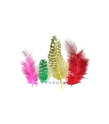 PLUMAS DE PINTADA 4-8 CM MIX 3 GRAMOS 36 UD APROX