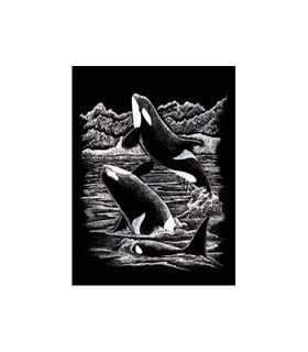 KIT RASCADO PLATEADO ORCAS 25 x 20 CM