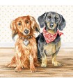 SERVILLETAS AMBIENTE 20 UD DACHSHUND