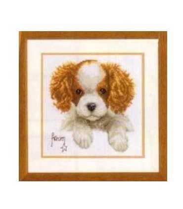 KIT PUNTO CRUZ  KING CHARLES 19x19 CM VERVACO