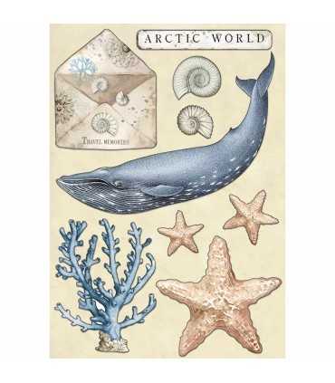 FORMAS COLOREADAS MADERA 21x14 CM ARCTIC WORLD