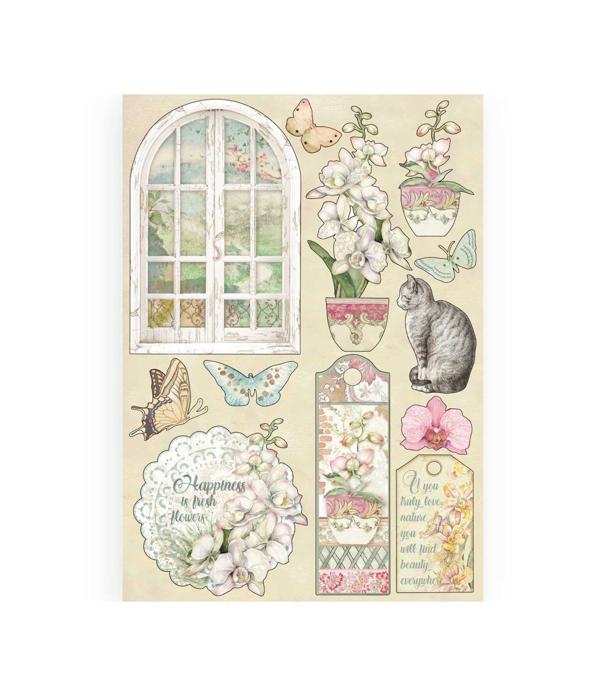 FORMAS MADERA 21x14 CM WINDOW