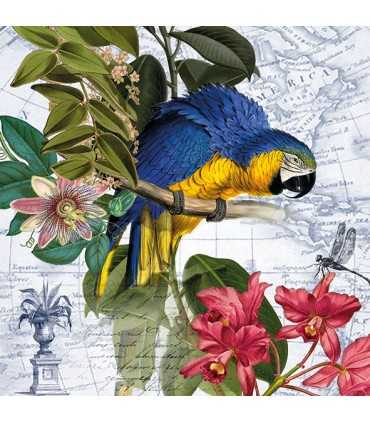 SERVILLETAS AMBIENTE 33x33cm 20UD ARA