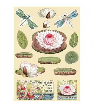 FORMAS MADERA A5 21x14 CM NENUFAR AMAZONIA