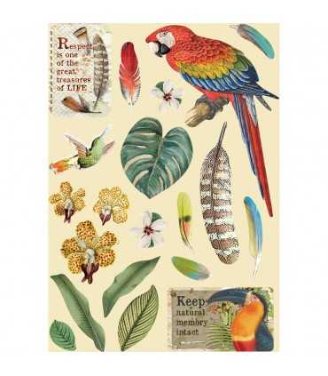 FORMAS MADERA A5 21x14 CM LORO AMAZONIA