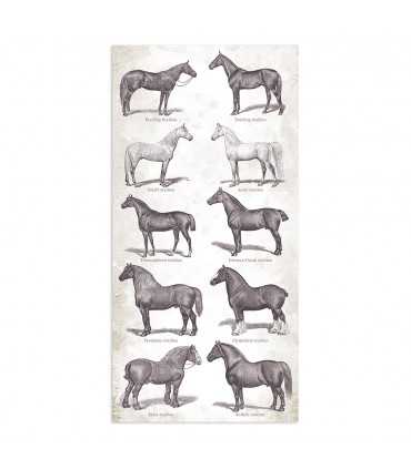 PAPELES SCRAP 15x30 cm ROMANTIC HORSES 10 UD