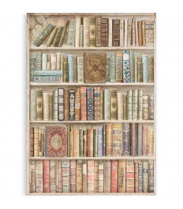 ACETATO IMPRESO A4 4+2 HOJAS LADY V.LIFESTYLE