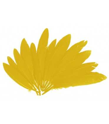 PLUMAS INDIO AMARILLO 60 UNIDADES 25X140MM APROX.