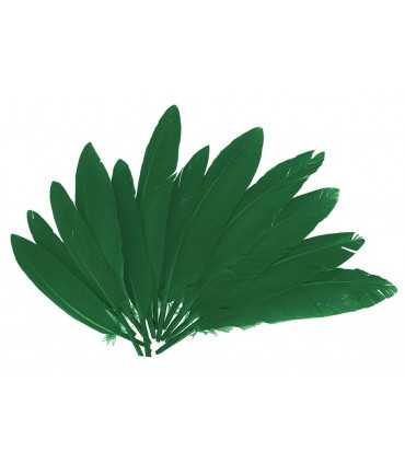 PLUMAS INDIO VERDE 60 UNIDADES 25X140MM APROX.