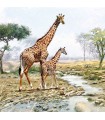 SERVILLETAS AMBIENTE 33x33cm 20 UD JIRAFAS