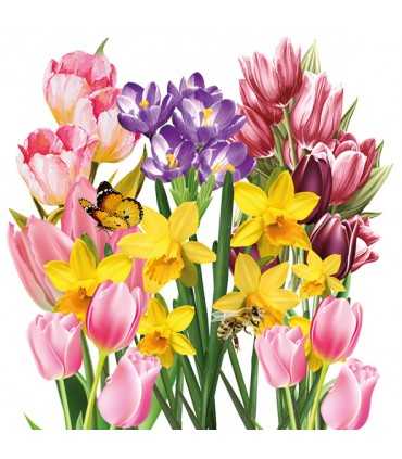 SERVILLETAS AMBIENTE 33x33cm 20 UD SPRING GARDEN