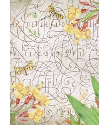 ACETATO IMPRESO A4 4+2 HOJAS GARDEN HOUSE