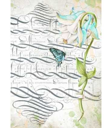 ACETATO IMPRESO A4 4+2 HOJAS GARDEN HOUSE