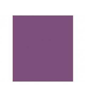 FOAMIRAN 60x35 CM PLANCHA ESPECIAL PARA FLORES