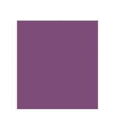 FOAMIRAN 60x35 CM PLANCHA ESPECIAL PARA FLORES