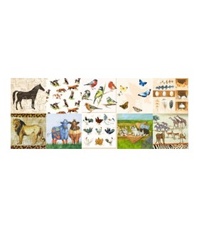 SERVILLETAS DECOUPAGE 33x33cm MIX ANIMALES 10 UD