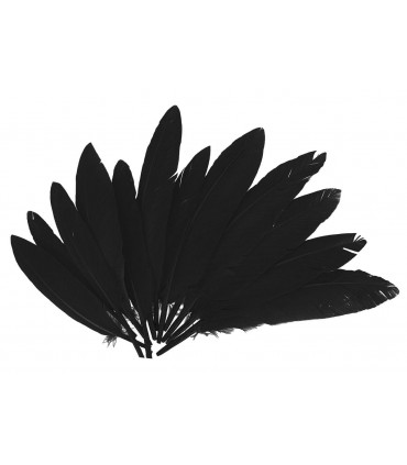 PLUMAS INDIO NEGRO 60 UNIDADES 25X140MM APROX.