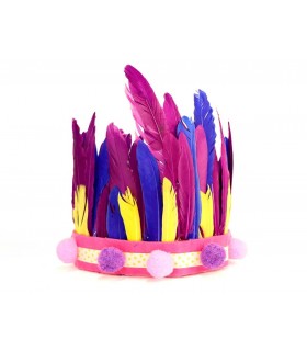 PLUMAS INDIO NEGRO 60 UNIDADES 25X140MM APROX.