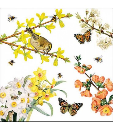 SERVILLETAS AMBIENTE 33x33cm 20UD PRIMAVERA