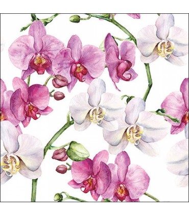 SERVILLETAS AMBIENTE 33x33cm 20UD ORQUIDEAS