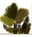 PLUMAS MARABÚ Y PINTADA MIX BOSQUE 18 UD